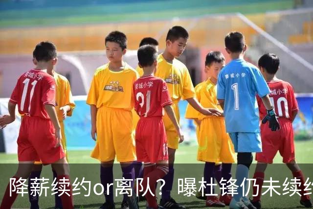 降薪续约or离队？曝杜锋仍未续约广东男篮，李春江有望重返宏远！